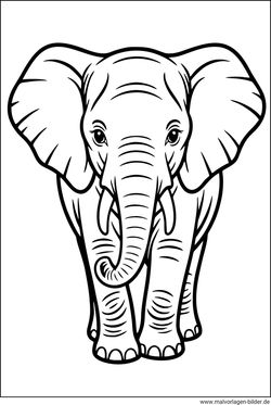 Elefant als PDF Vorlage