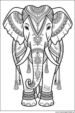 Elefant Ausmalbild für Erwachsene ausdrucken
