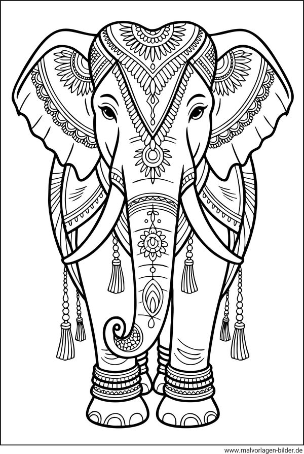 Elefant Ausmalbild für Erwachsene