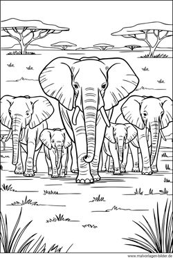 Elefantenherde in Afrika Ausmalbild