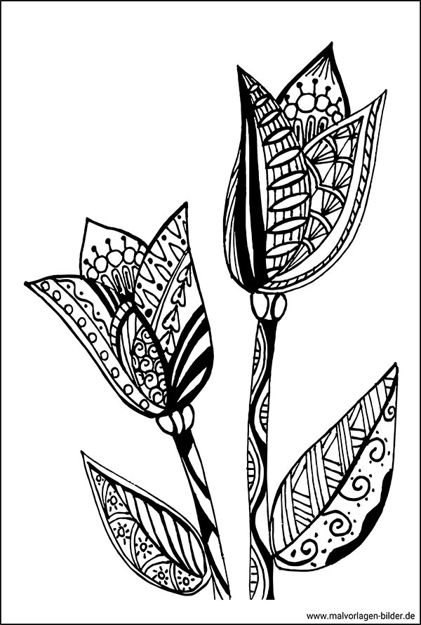 Ausmalbild für Erwachsene Blume Tulpe
