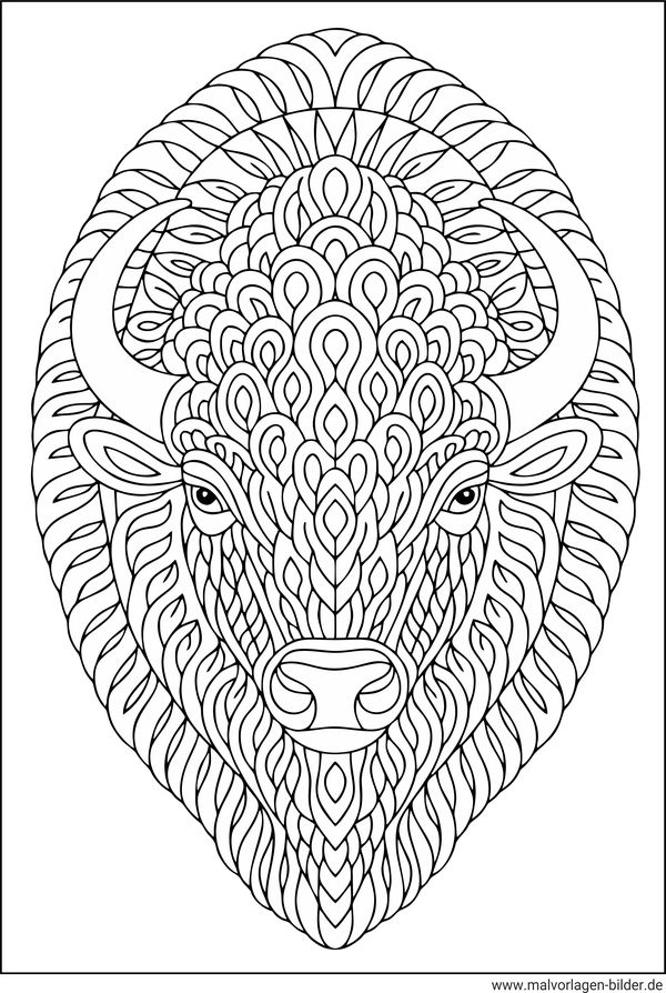 Bison Ausmalbild Erwachsene