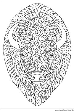 Bison Ausmalbild für Erwachsene gratis