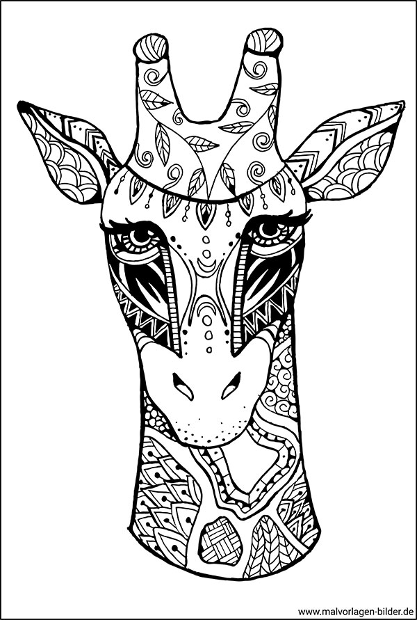 Giraffe - Ausmalbild für Erwachsene zum Ausdrucken