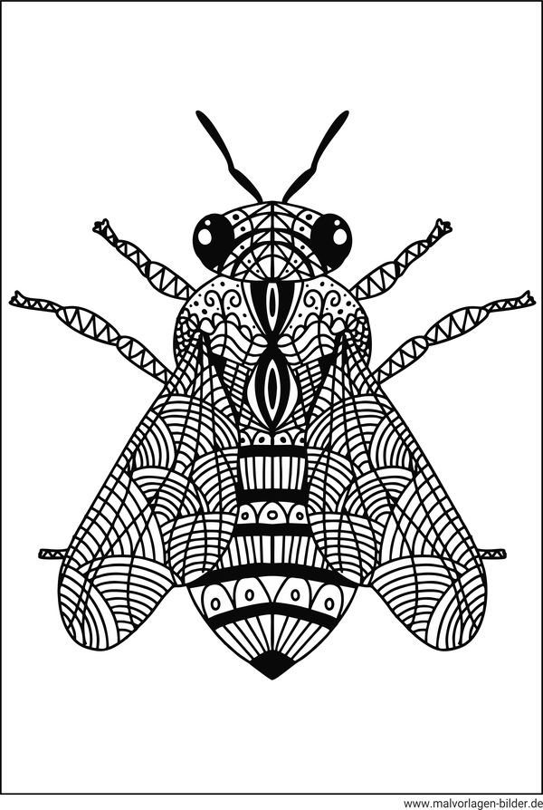 Mandala Biene Erwachsene Ausmalbild
