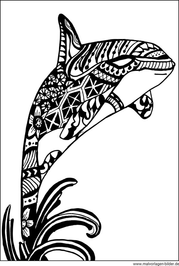 Mandala Orca Schwertwahl Ausmalbild für Erwachsene