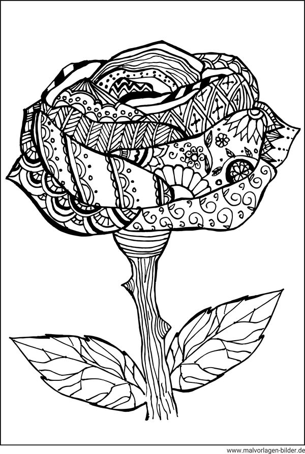 Rose Blume Ausmalbilder für Erwachsene