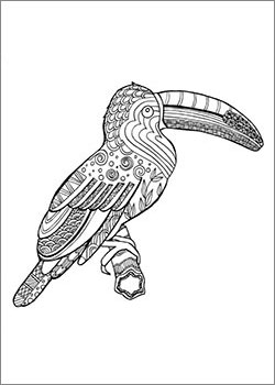 Zen Art Vogel - Zeichnung Malbild Erwachsene