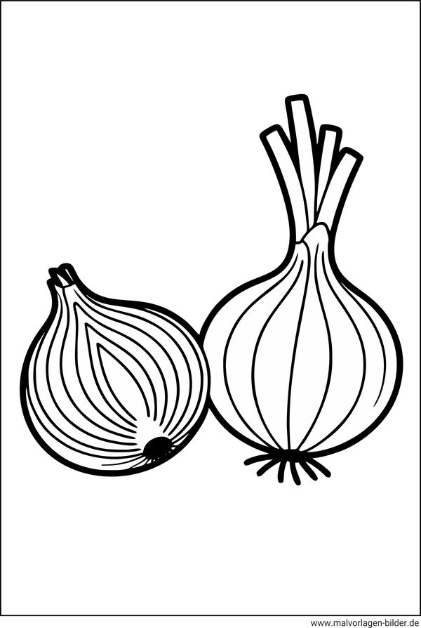 Ausmalbild Zwiebeln