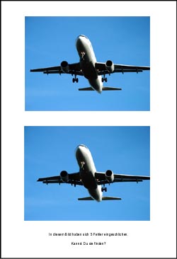 Fehlerbild Flugzeug