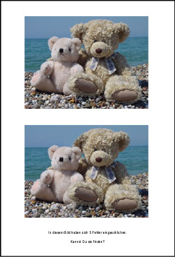 Fehlerbild Teddybär