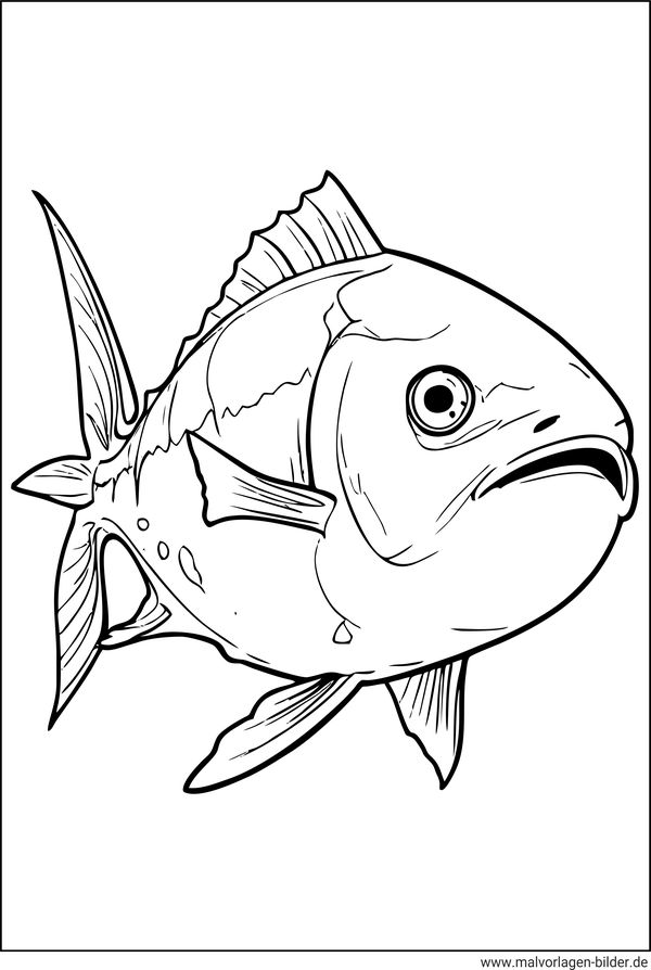 Fisch Ausmalbild ab 12 Jahren