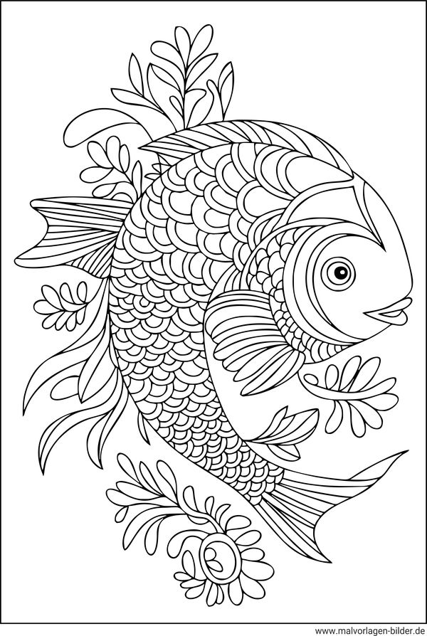 Fisch Malvorlagen Erwachsene
