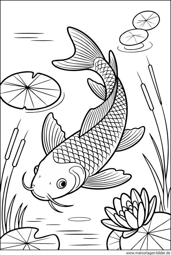 Koi Fisch Ausmalbild
