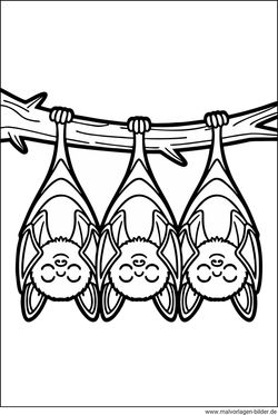 Ausmalbild Fledermäuse schlafen