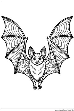Fledermaus Malbild zum Drucken
