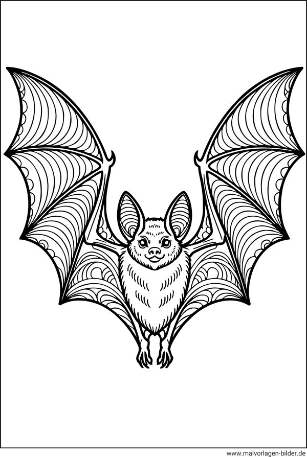 Fledermaus Malbild