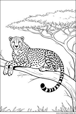 Ausmalbild Gepard auf einem Ast für Erwachsener