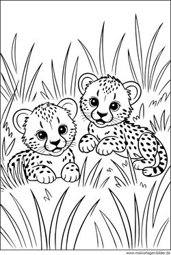 Ausmalbild Geparden Babys zum Ausdrucken