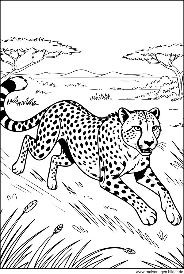Gepard auf der Jagd Ausmalbild