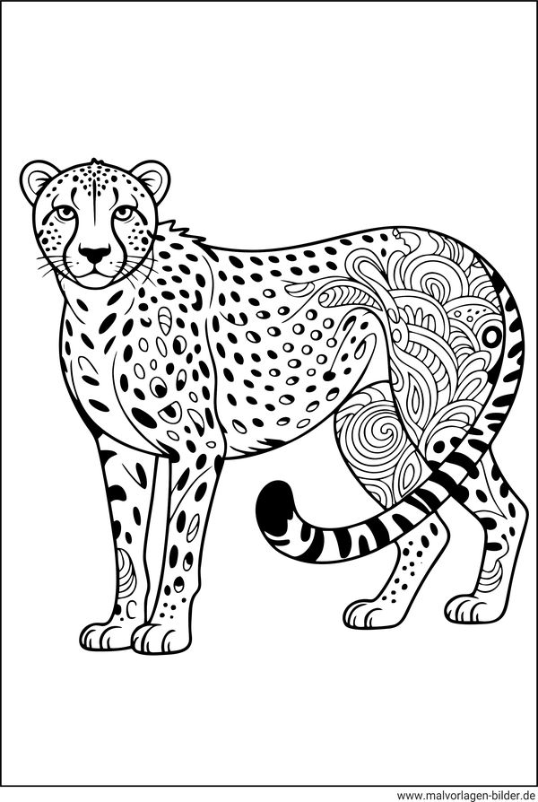 Gepard mit Muster Ausmalbild Erwachsene