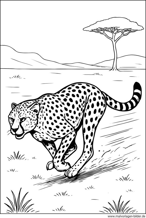 Gepard rennt Ausmalbild