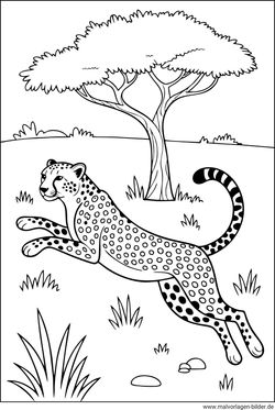 Gepard springt in die Luft Malvorlage