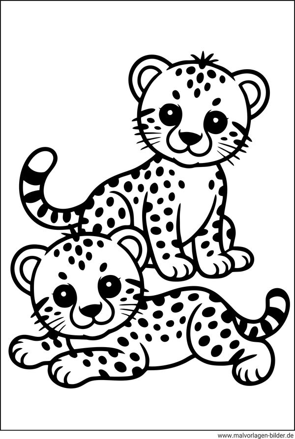 Zwei Geparden Ausmalbild ab 4 Jahren