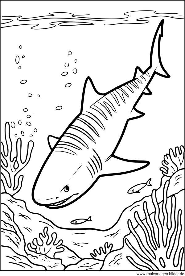 Ausmalbild Tigerhai