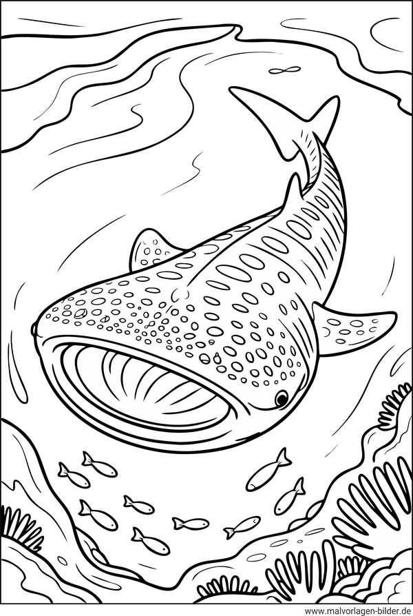 Ausmalbild Walhai