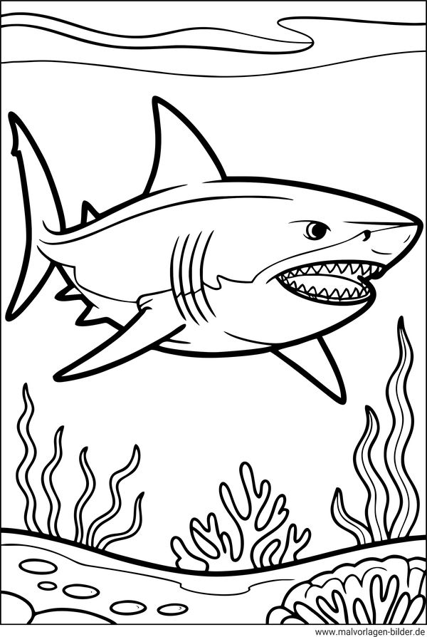 Ausmalbild Weißer Hai