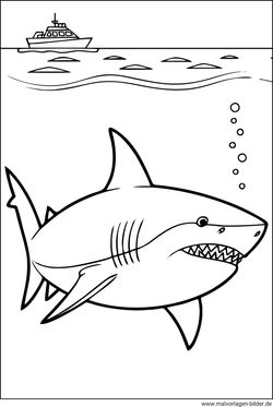 Hai Ausmalbild kostenlose PDF
