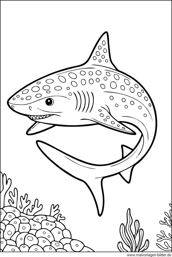 Katzenhai Ausmalbild