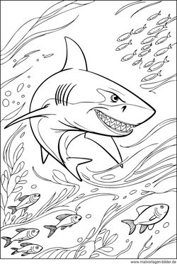 Wilder Hai Ausmalbild ab 10 Jahren