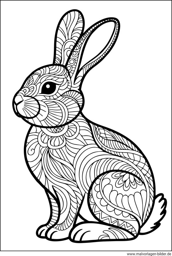 Hase Ausmalbild für Erwachsene