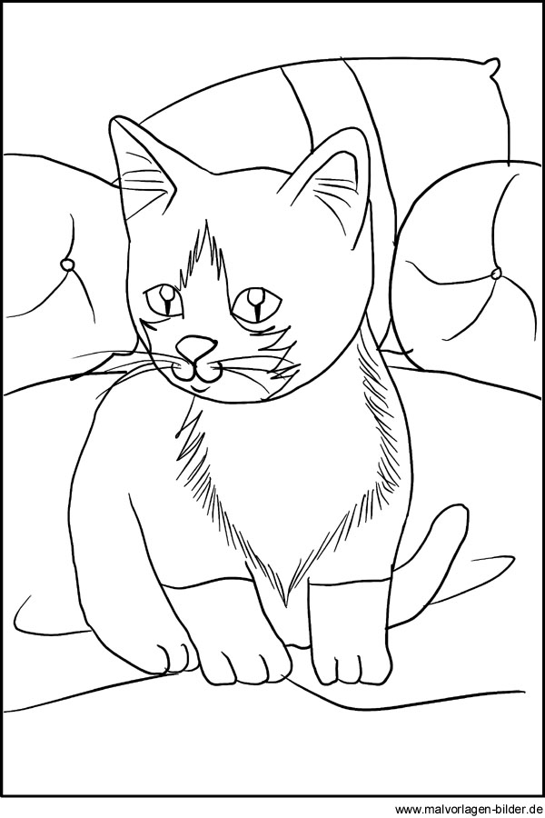 Malvorlage Katze Kostenlose Ausmalbilder Zum Ausdrucken