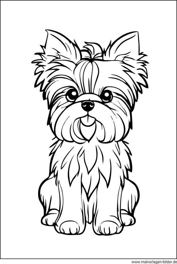Yorkshire Terrier Ausmalbild kleiner Hund