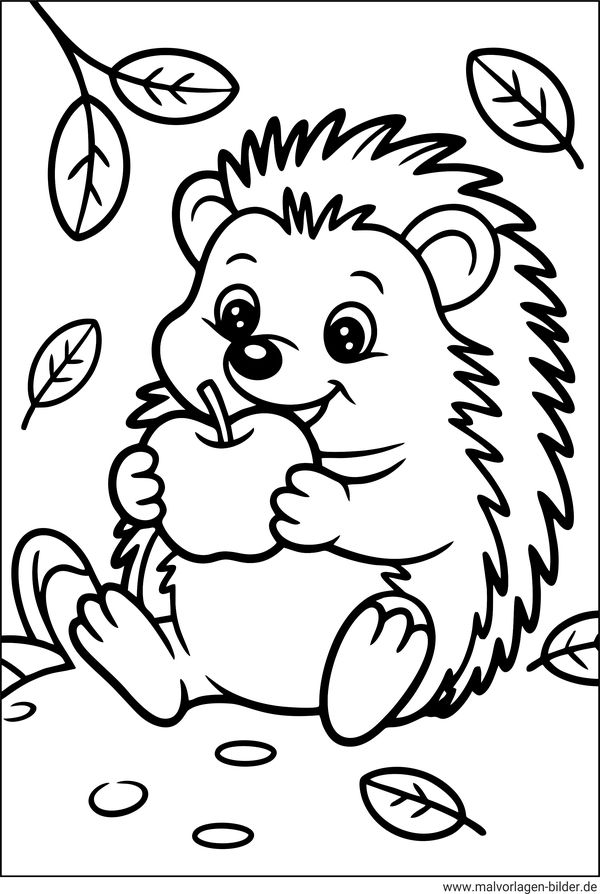 Ausmalbild Igel Apfel