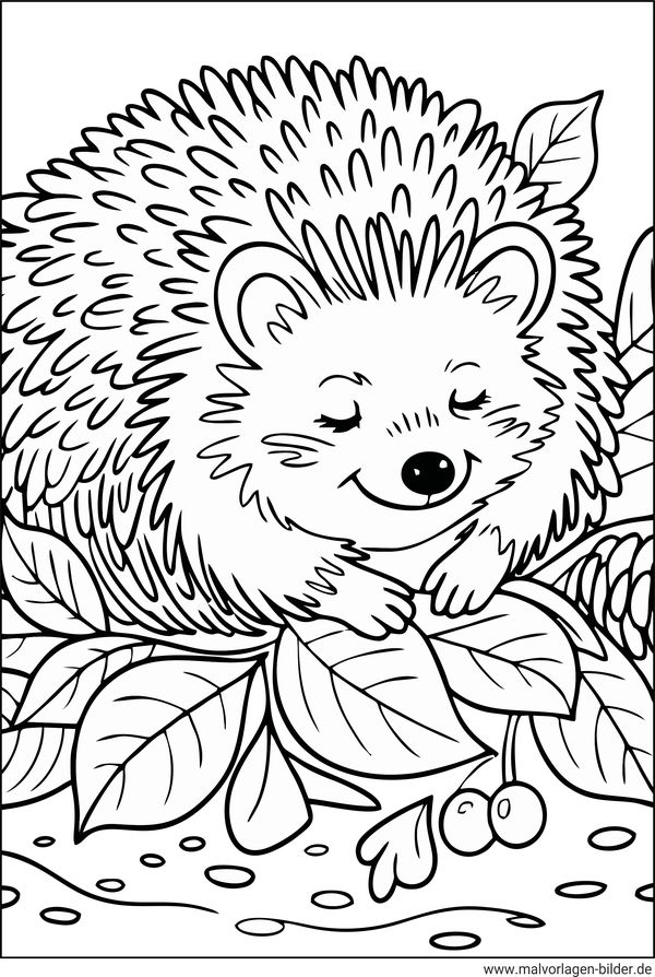 Ausmalbild Igel schläft im Laub