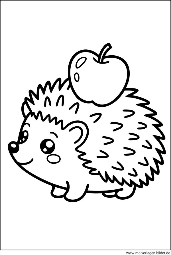 Ausmalbilder Igel für Kleinkinder