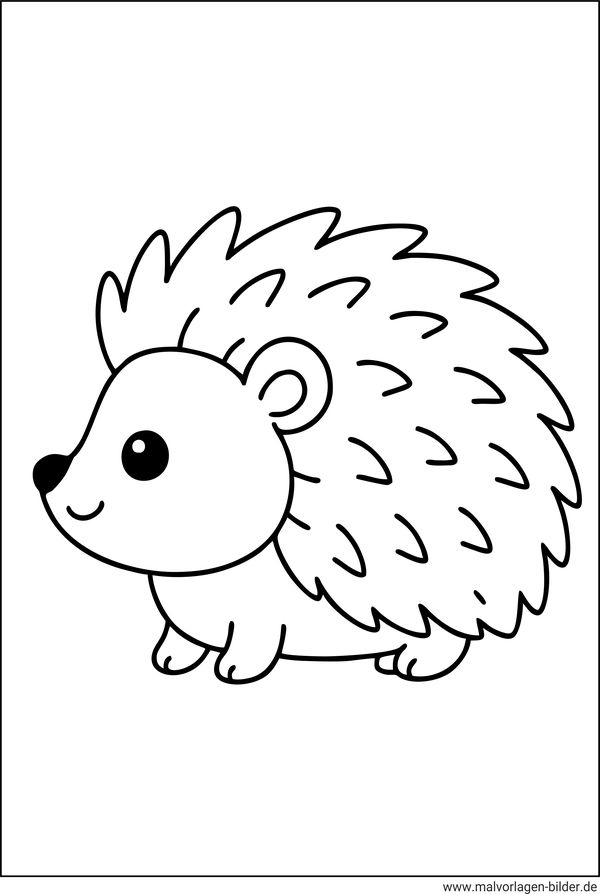 Igel Ausmalbild einfach