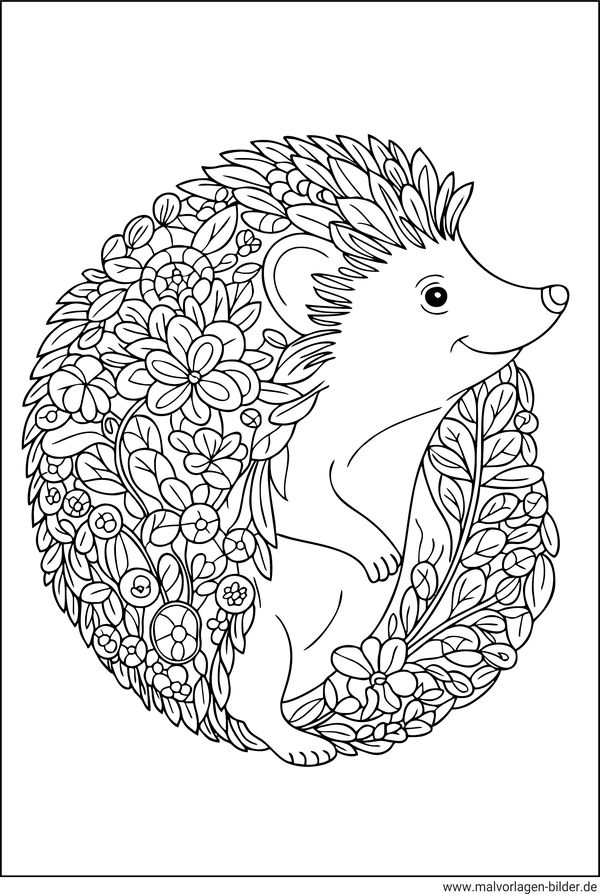 Igel Ausmalbild Erwachsene Blumenmuster