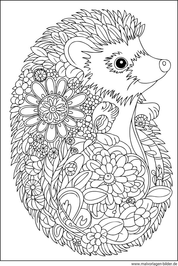 Igel Ausmalbild Erwachsene mit Muster