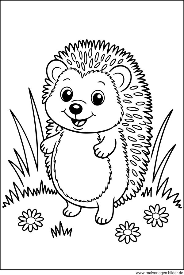 Igel Ausmalbild kostenlos