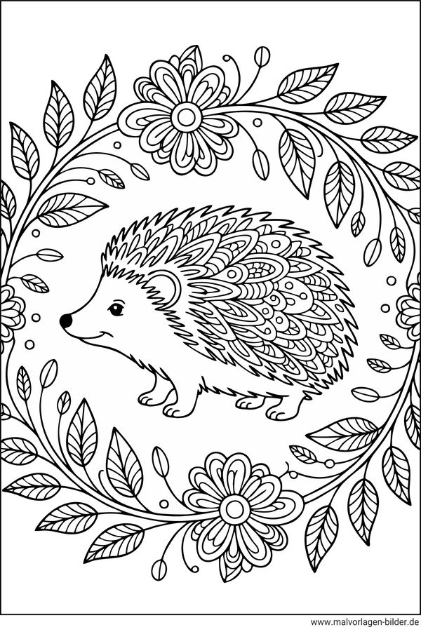 Igel und Blumen Ausmalbild für Erwachsene