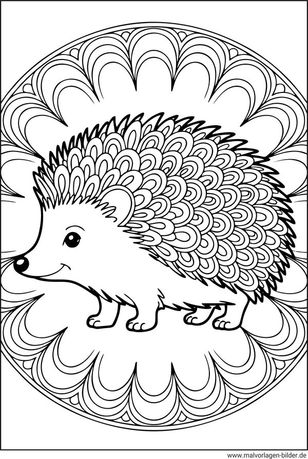 Igel Mandala mit Muster