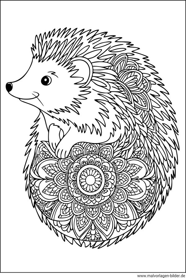 Igel Tier-Mandala Erwachsene