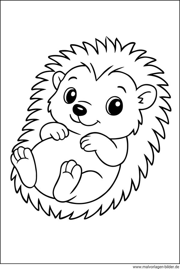 Kawaii Igel Zeichnen - Kleinkinder Ausmalbild