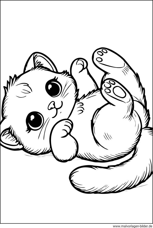 Ausmalbild Katzenbaby liegt auf dem Rücken