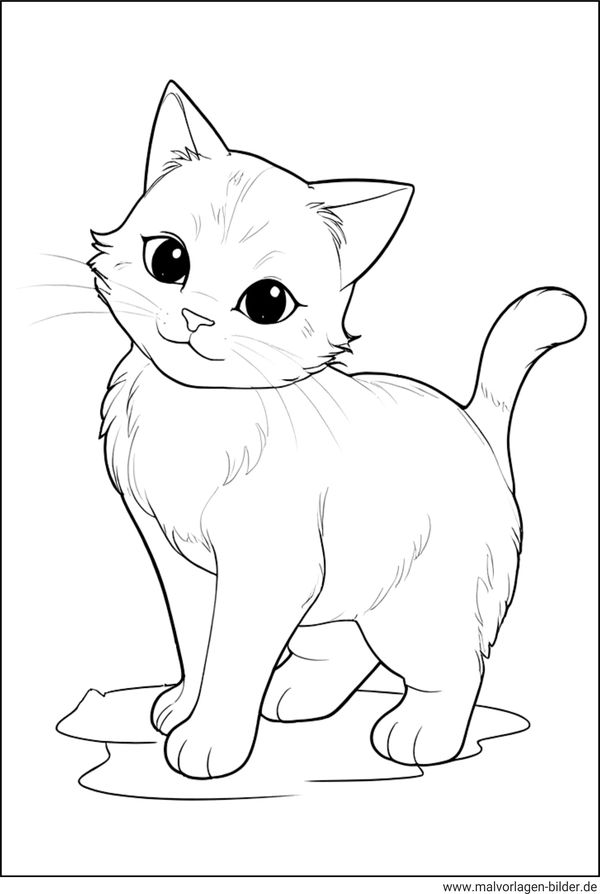 Katzen Malvorlage für Erwachsene und Senioren